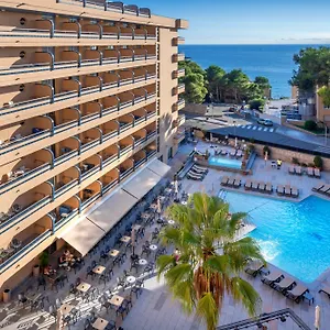 book here